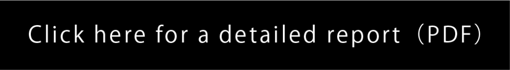 Nanbu Tekki Stabilizer detailed report PDF
