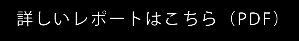 南部鉄器スタビライザー詳細レポートPDF